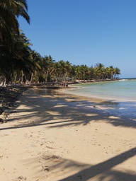 A Day of Escape in Ifaty