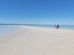 Le Grand Récif de Tuléar : une merveille à marée basse