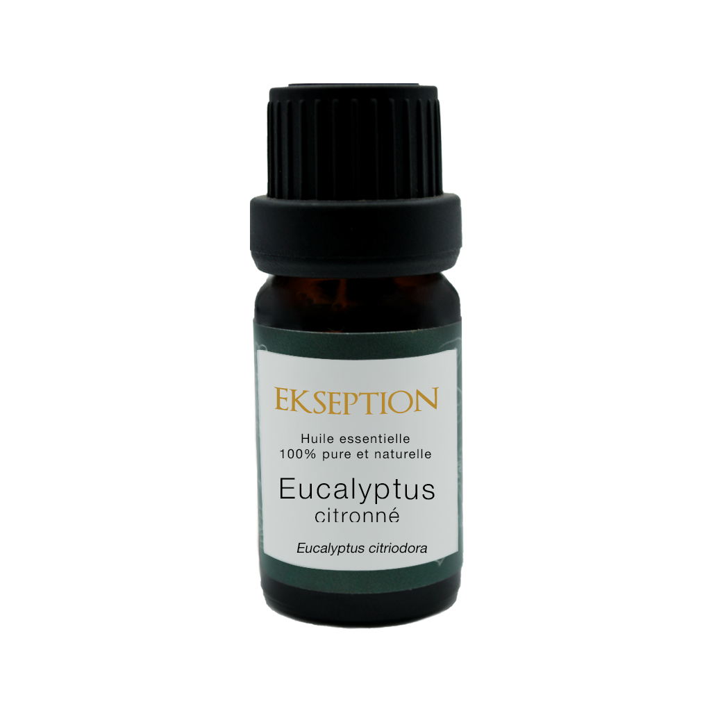 Eucalyptus Citronné