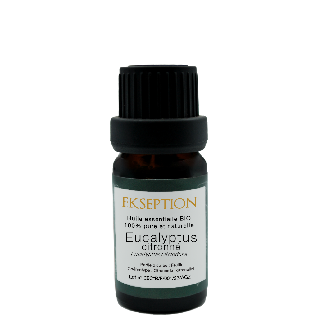 Eucalyptus Citronné 10ml