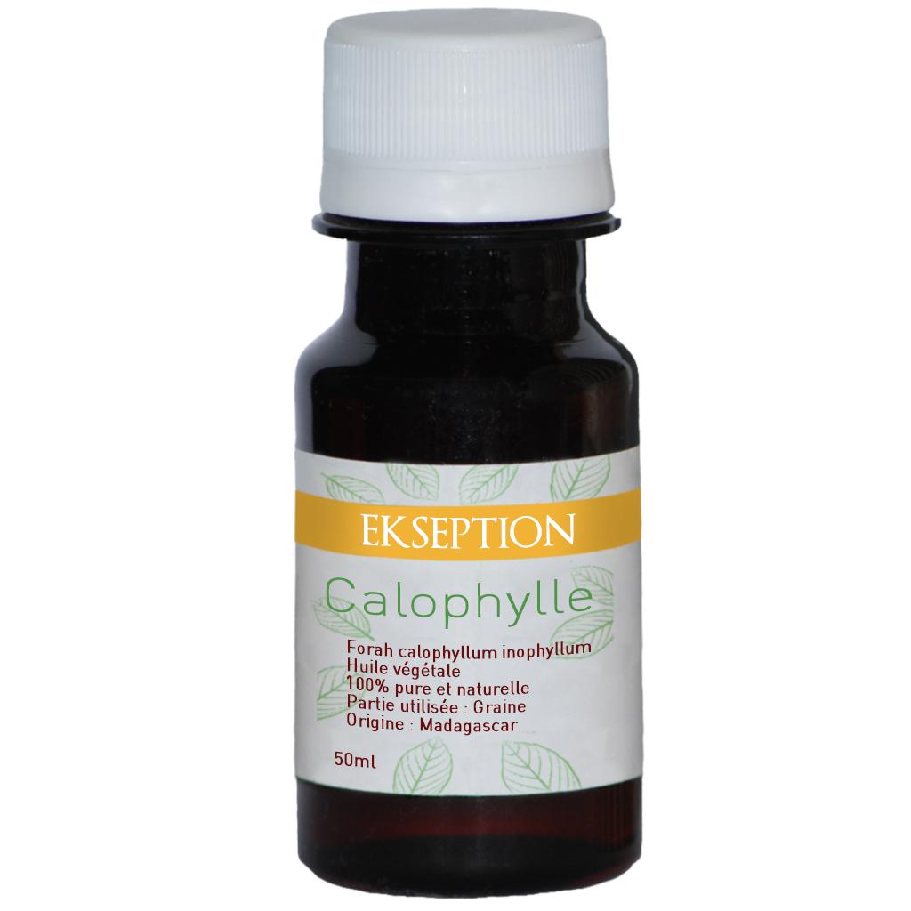 Calophylle 50ml