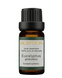 Eucalyptus Globuleux